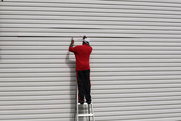 Best Vinyl Siding Installation  in Wauconda, IL
